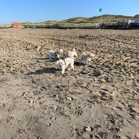 בית נופש In By Interhome Dirkshorn