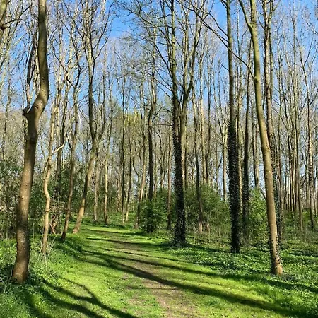 בית נופש In By Interhome Dirkshorn