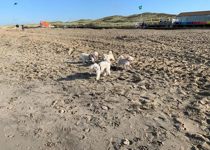 בית נופש In By Interhome Dirkshorn