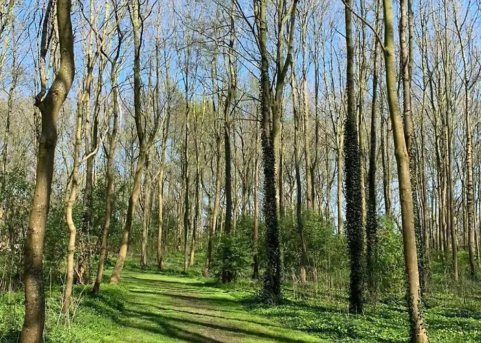 בית נופש In By Interhome Dirkshorn